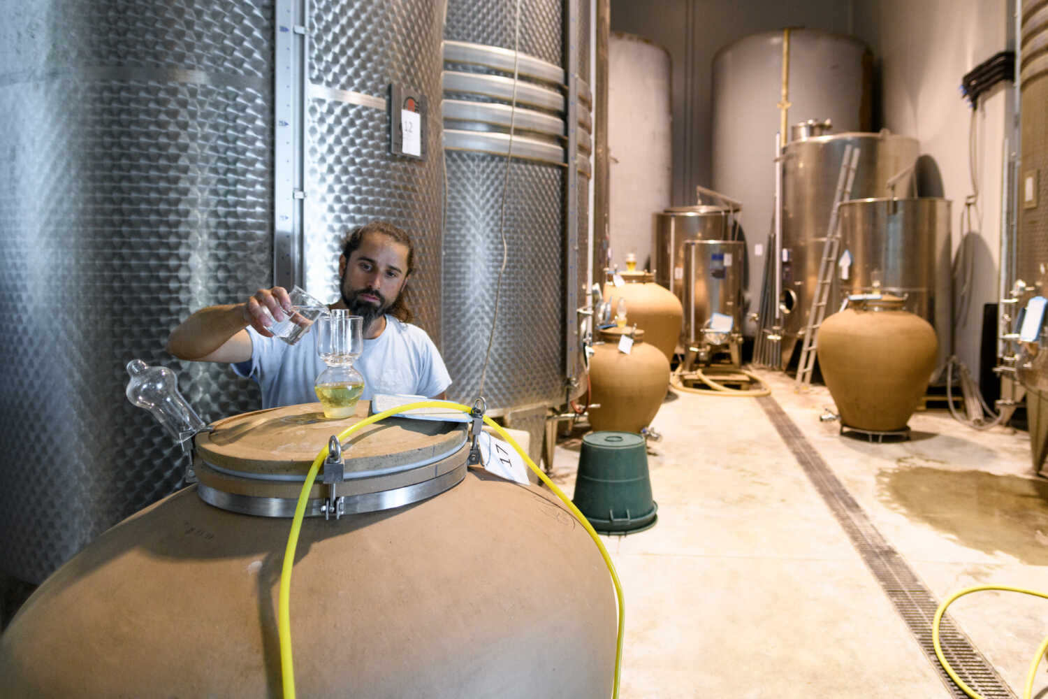 Processus de vinification de nos vins blanc de Seyssel